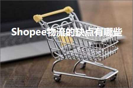 网站推广 扬州 跨境电商知识:Shopee物流的缺点有哪些