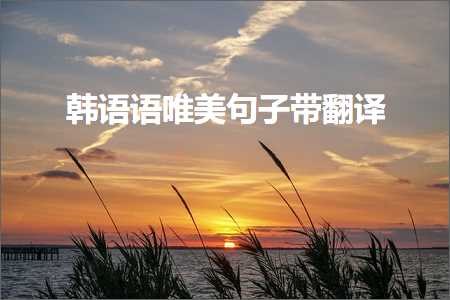 南宁网站推广公司 韩语语唯美句子带翻译（文案977条）